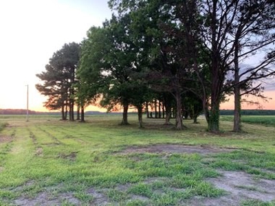 Rural Real Estate for sale in Beaufort Co., near Pantego, NC - image 14