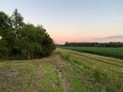 Rural Real Estate for sale in Beaufort Co., near Pantego, NC - image 10