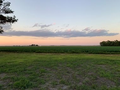 Rural Real Estate for sale in Beaufort Co., near Pantego, NC - image 13