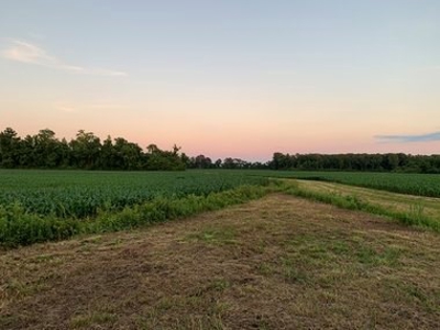Rural Real Estate for sale in Beaufort Co., near Pantego, NC - image 18