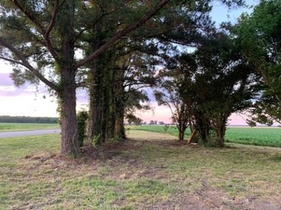 Rural Real Estate for sale in Beaufort Co., near Pantego, NC - image 6