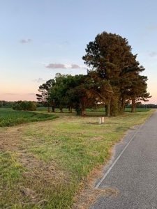 Rural Real Estate for sale in Beaufort Co., near Pantego, NC - image 2