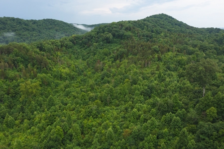 Unrestricted Land Auction Hawkins County TN-East Tennessee - image 26