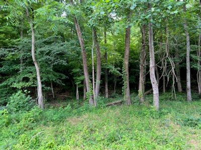 Unrestricted Land Auction Hawkins County TN-East Tennessee - image 20