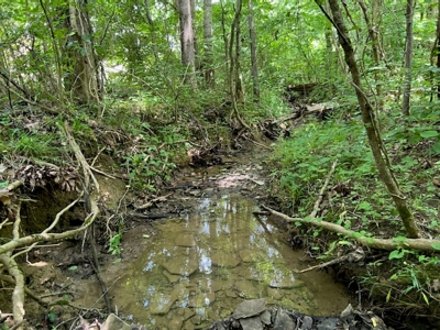 Unrestricted Land Auction Hawkins County TN-East Tennessee - image 12
