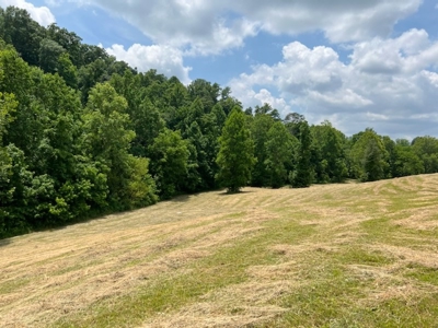 Unrestricted Land Auction Hawkins County TN-East Tennessee - image 10