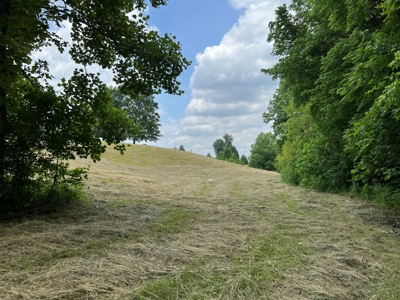 Unrestricted Land Auction Hawkins County TN-East Tennessee - image 17