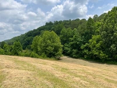 Unrestricted Land Auction Hawkins County TN-East Tennessee - image 11