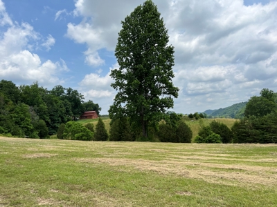 Unrestricted Land Auction Hawkins County TN-East Tennessee - image 9