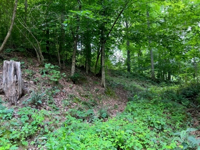 Unrestricted Land Auction Hawkins County TN-East Tennessee - image 21