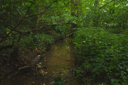 Unrestricted Land Auction Hawkins County TN-East Tennessee - image 31