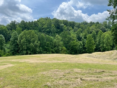 Unrestricted Land Auction Hawkins County TN-East Tennessee - image 8