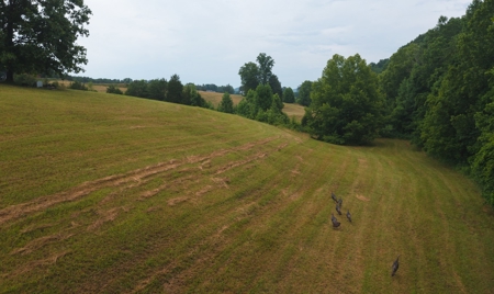 Unrestricted Land Auction Hawkins County TN-East Tennessee - image 30