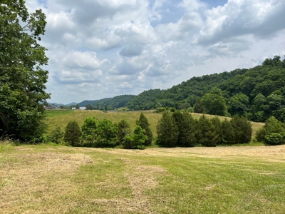Unrestricted Land Auction Hawkins County TN-East Tennessee - image 4