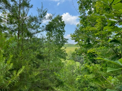 Unrestricted Land Auction Hawkins County TN-East Tennessee - image 22