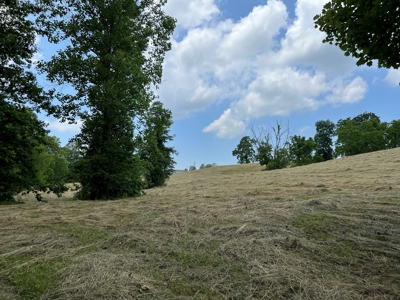 Unrestricted Land Auction Hawkins County TN-East Tennessee - image 16