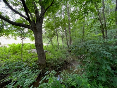 Unrestricted Land Auction Hawkins County TN-East Tennessee - image 14