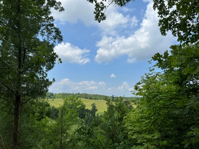 Unrestricted Land Auction Hawkins County TN-East Tennessee - image 23