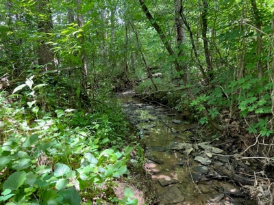 Unrestricted Land Auction Hawkins County TN-East Tennessee - image 13