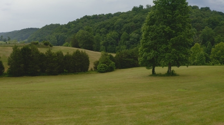 Unrestricted Land Auction Hawkins County TN-East Tennessee - image 38