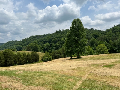 Unrestricted Land Auction Hawkins County TN-East Tennessee - image 5