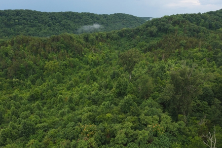 Unrestricted Land Auction Hawkins County TN-East Tennessee - image 25