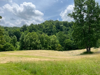Unrestricted Land Auction Hawkins County TN-East Tennessee - image 7