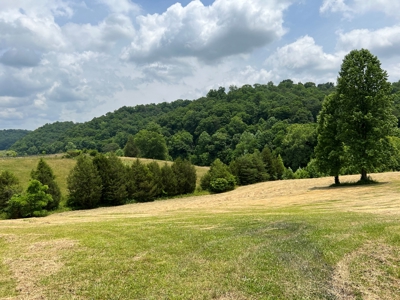 Unrestricted Land Auction Hawkins County TN-East Tennessee - image 3