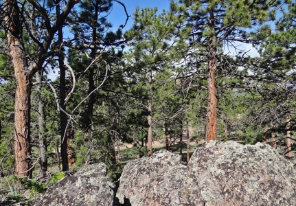 Incredible Home - image 32