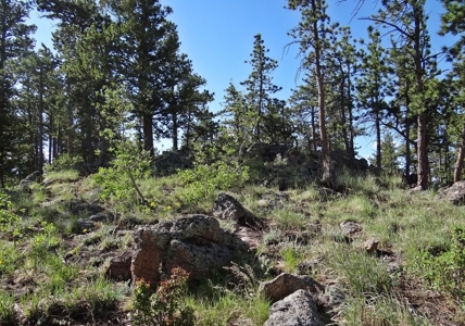 Incredible Home - image 33