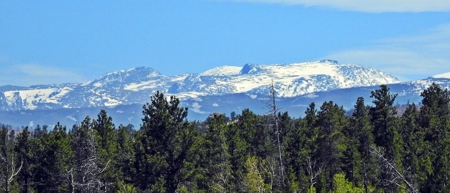 Incredible Home - image 2