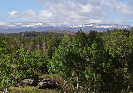 Incredible Home - image 34