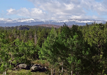 Incredible Home - image 5