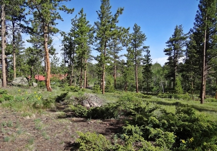 Incredible Home - image 24