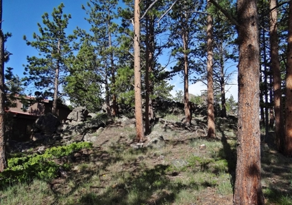 Incredible Home - image 31