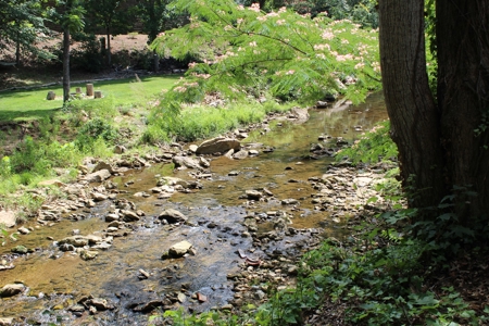 Charming Creekside Townhome for Sale in Hickory, NC! - image 4