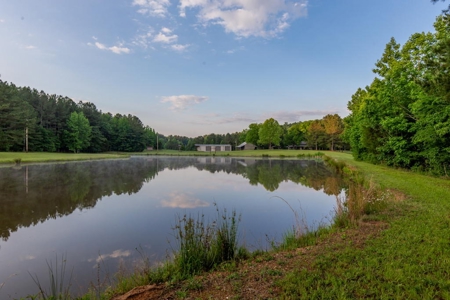 Land for Sale with Home, Shop, and Pond near Denton NC - image 3