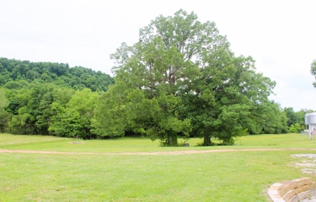 Ozark Mountain Farm For Sale - image 6