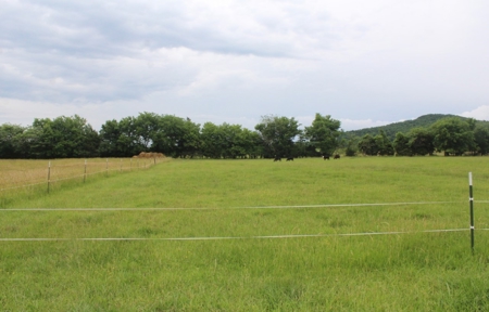 Ozark Mountain Farm For Sale - image 26