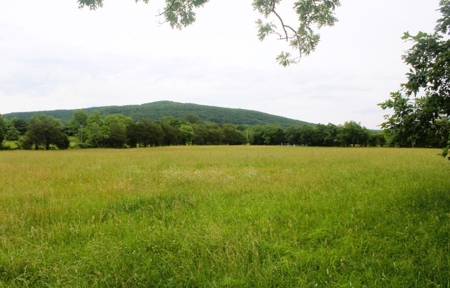 Ozark Mountain Farm For Sale - image 22