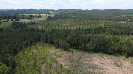 East Tennessee Timberland Property - Vacant Residential Land - image 5