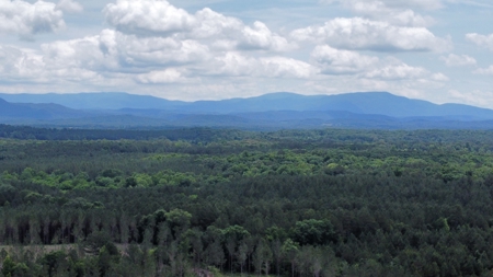East Tennessee Timberland Property - Vacant Residential Land - image 3