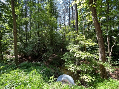 East Tennessee Timberland Property - Vacant Residential Land - image 2