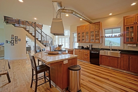 Mountain Home For Sale, Ridgway, Colorado - image 8