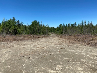 Moosehead Region Maine Land For Sale - image 27