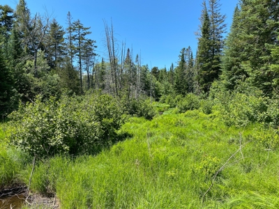 Moosehead Region Maine Land For Sale - image 22