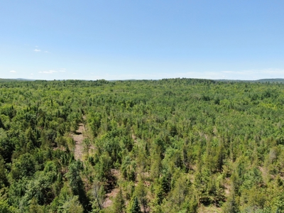 Moosehead Region Maine Land For Sale - image 4