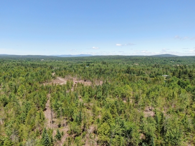 Moosehead Region Maine Land For Sale - image 3