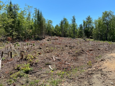 Moosehead Region Maine Land For Sale - image 24