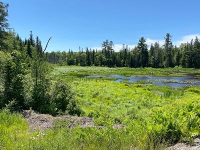 Moosehead Region Maine Land For Sale - image 25